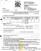 International veterinary health certificate